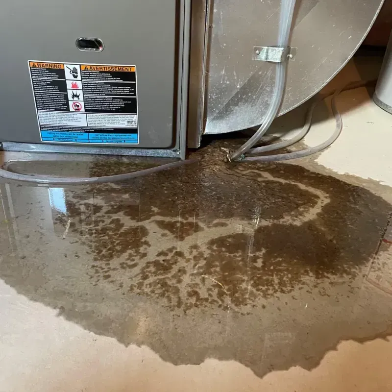 Appliance Leak Cleanup in Valhalla, NY